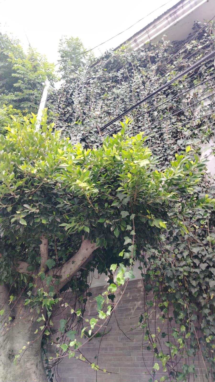 Casa la Calera